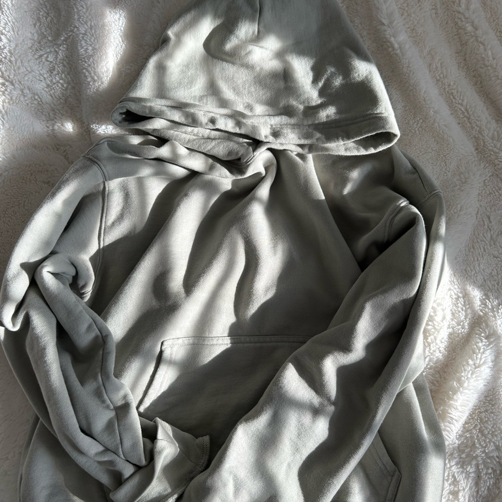 Aritzia TNA hoodie